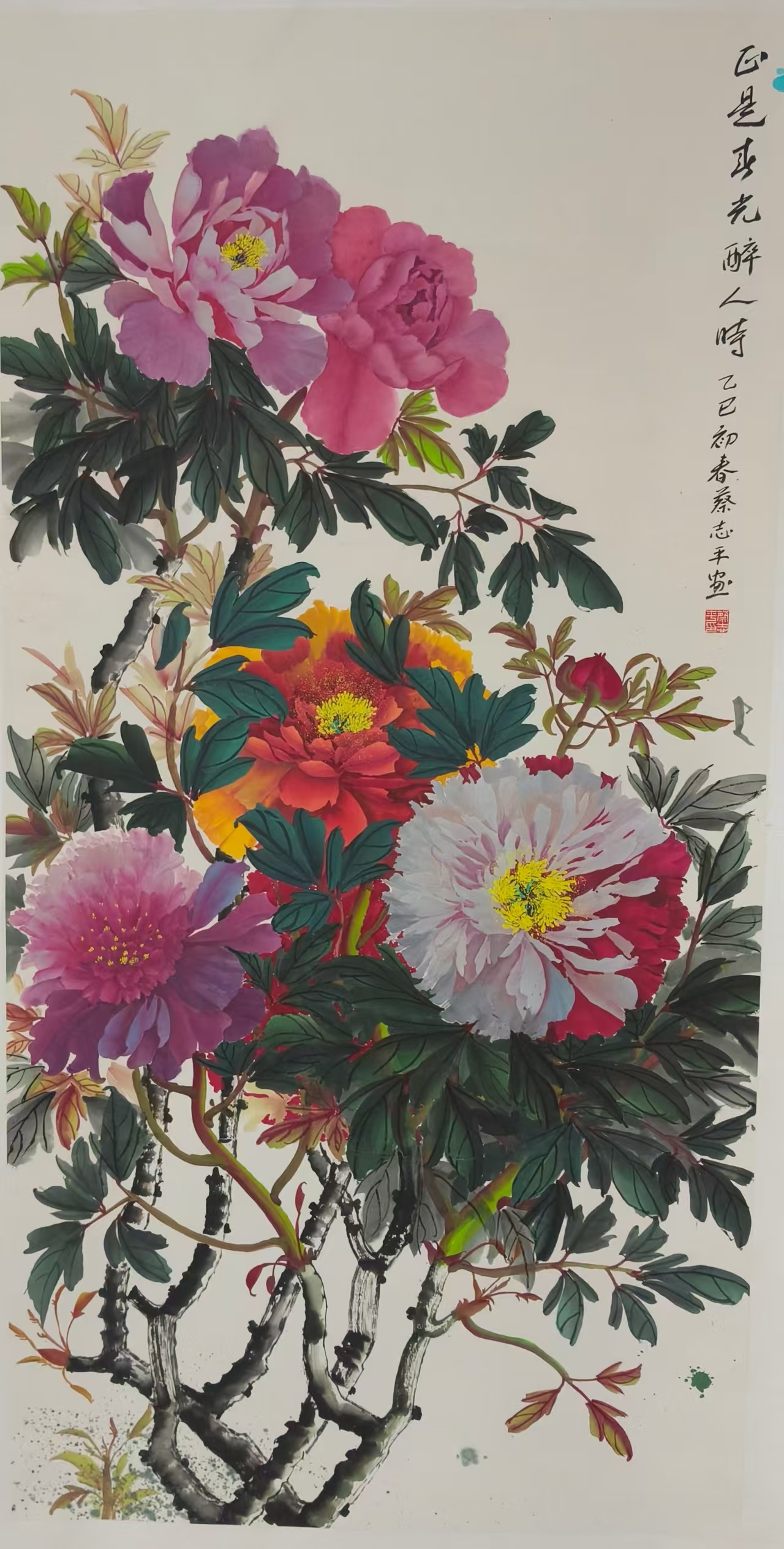 蔡志平.jpg