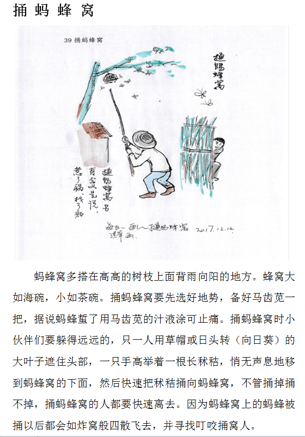 捅蚂蜂窝..png